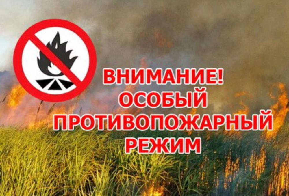 На территории Брянской области введен особый противопожарный режим