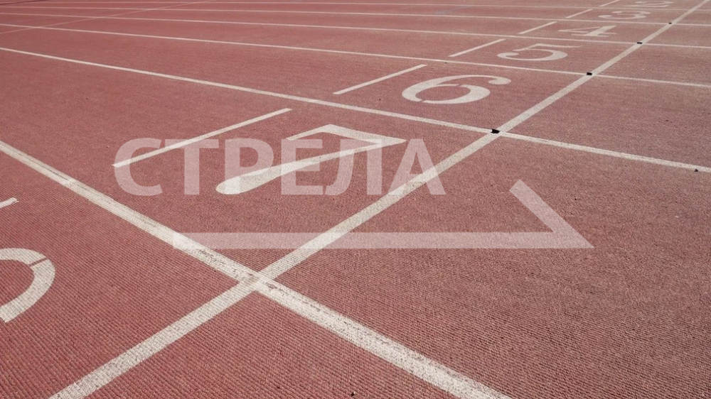 В рейтинге реализации комплекса ГТО Брянская область заняла 15 место