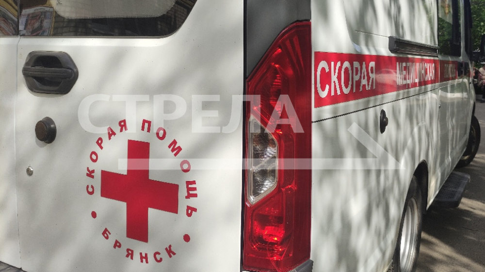 За 9 лет автопарк медорганизаций Брянщины обновлен на 645 автомобилей