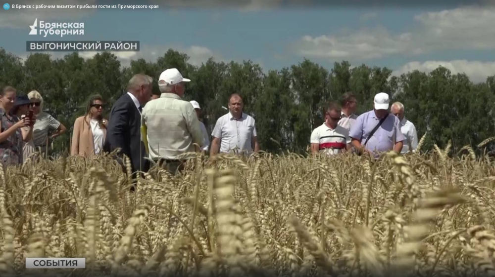 В Брянск с рабочим визитом прибыли гости из Приморского Края