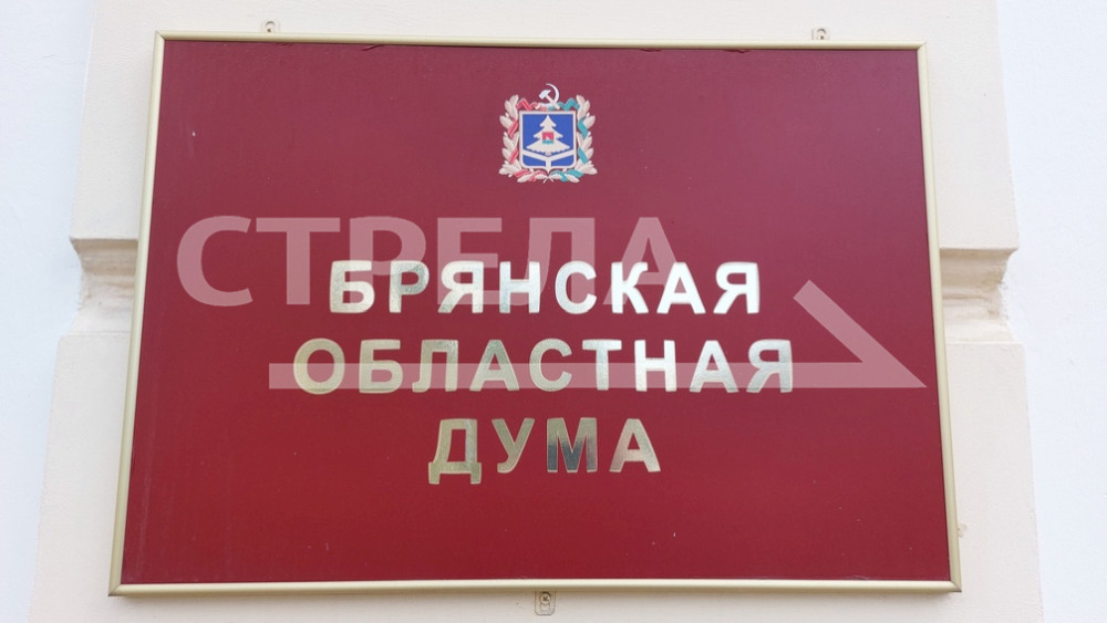 В Брянске депутаты обсудили реализацию национального проекта «Экология»