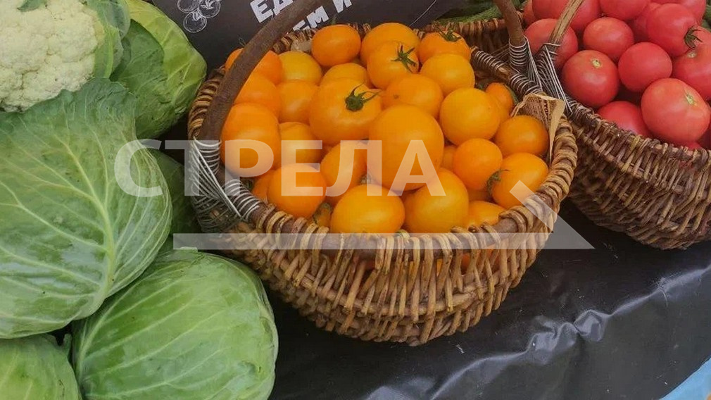 Сегодня в Брянской области открылись ярмарки выходного дня