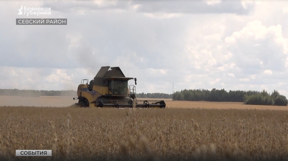 В Севском районе Брянщины полным ходом идет уборка урожая