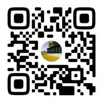 Госпаблики — это удобно, полезно, надёжно!