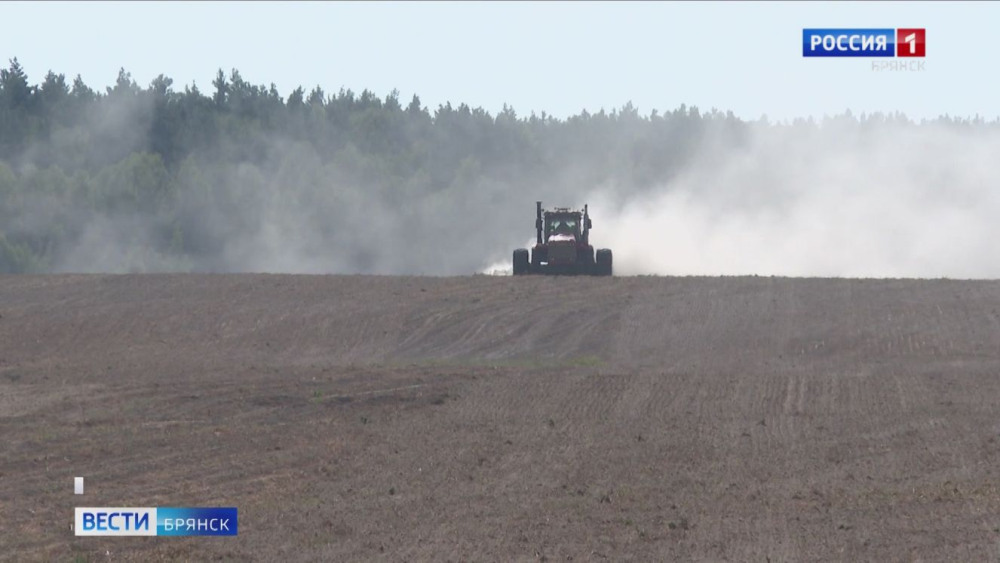 В Брянской области завершается подготовка почвы и сев озимых культур