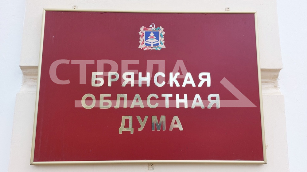 Заместителями председателя Брянской областной Думы восьмого созыва стали Николай Якушенко и Владимир Пронин