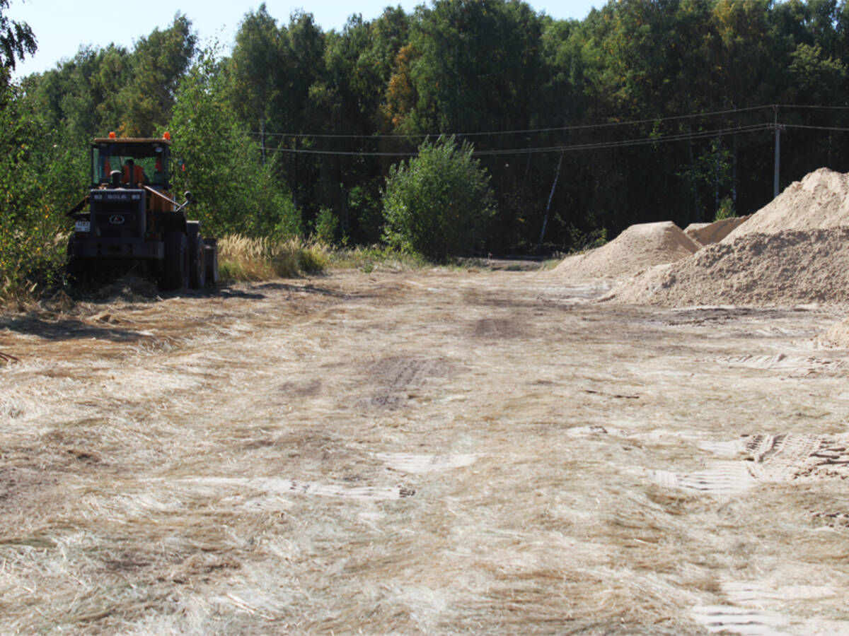 В Стародубе началось строительство лыжероллерной трассы