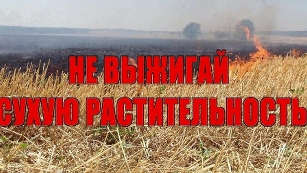 На территории Унечского района Брянской области проводится профилактический месячник «Сухая трава»