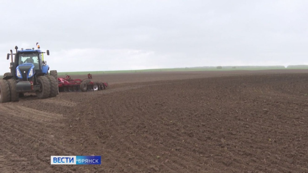 В Брянской области продолжается сев озимых зерновых