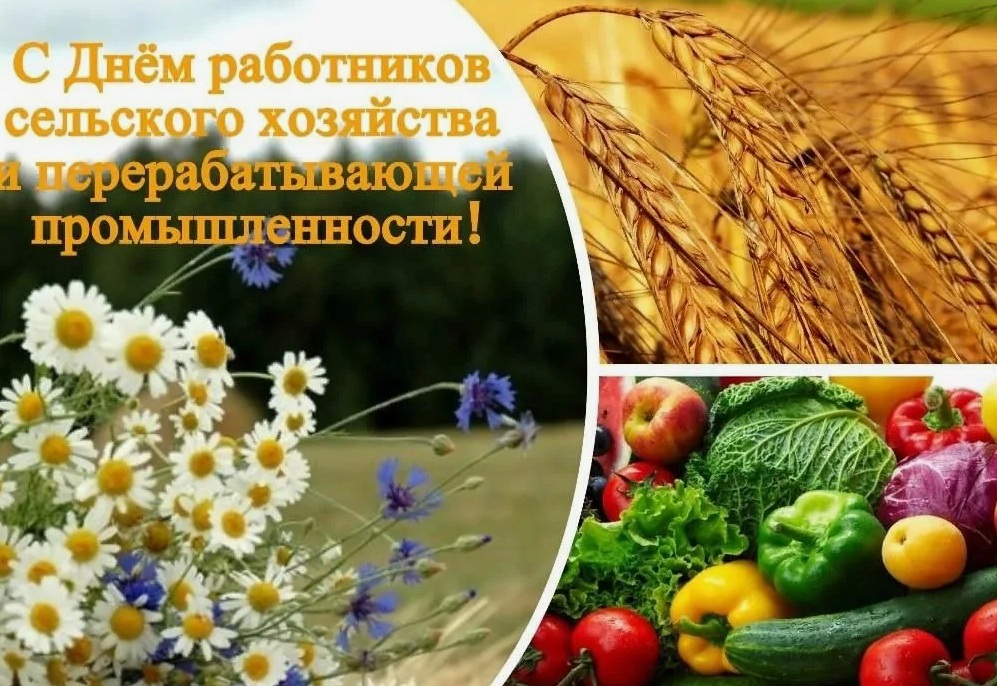 Руководители Брянской области поздравили работников сельского хозяйства с профессиональным праздником