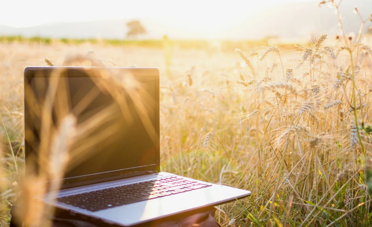 Жители Унечского района могут проголосовать за подключение сёл к интернету