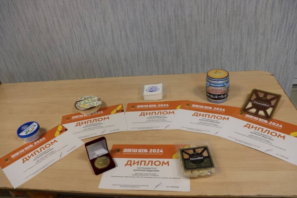 Стародубские предприятия завоевали 9 наград высшей пробы на выставке «Золотая осень-2024»