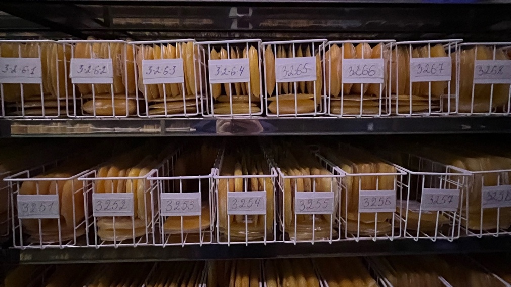 За неделю брянскую станцию переливания крови посетили 285 доноров