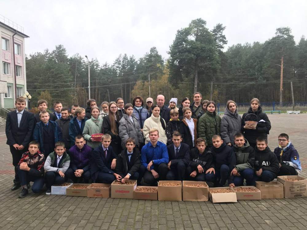 Унечские школьники собрали 110 кг семян дуба