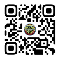 Госпаблики — это удобно, полезно, надёжно!