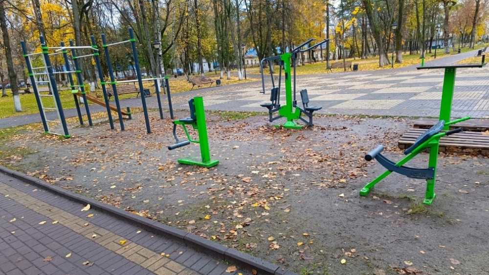 В брянском парке культуры и отдыха железнодорожников благоустроят спортплощадку
