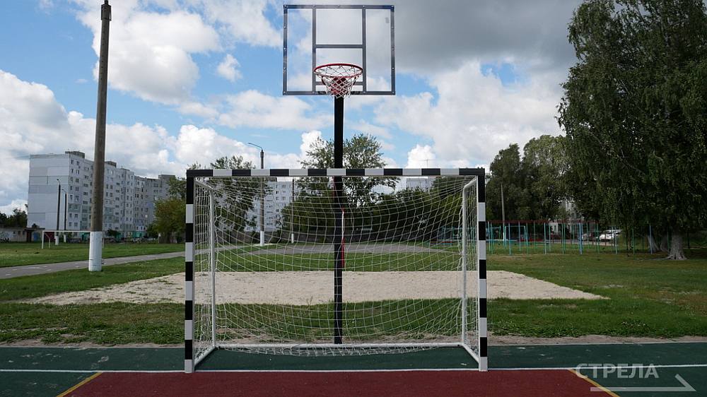 В 19 брянских школах благоустроят детские и спортивные площадки