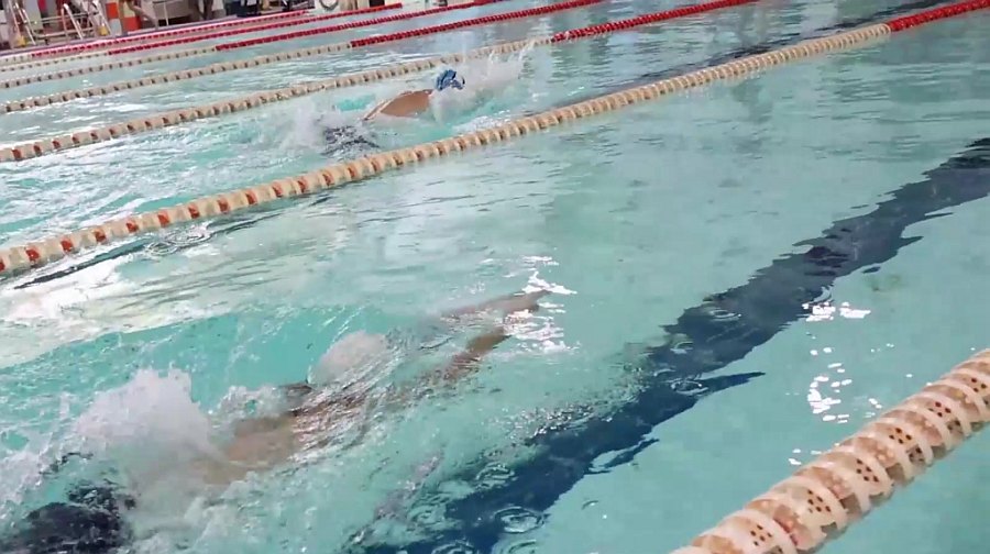 В Клинцах прошла эстафета по плаванию в честь Дня флага России