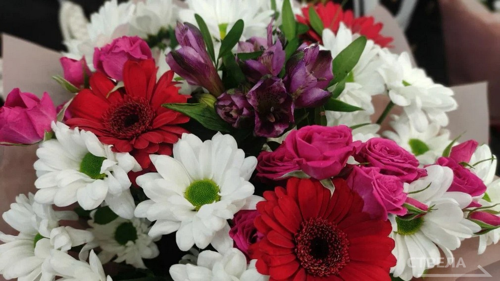 Жителей Брянской области поздравили с Днём знаний