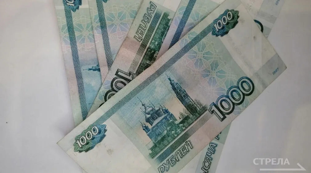 Брянцам рассказали о возможностях нацпроекта «Эффективная и конкурентная экономика»