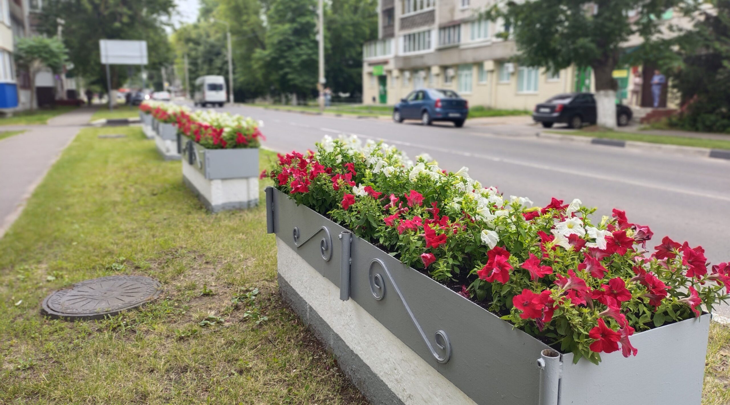 Улицы Унечи украсили более 70 000 цветов