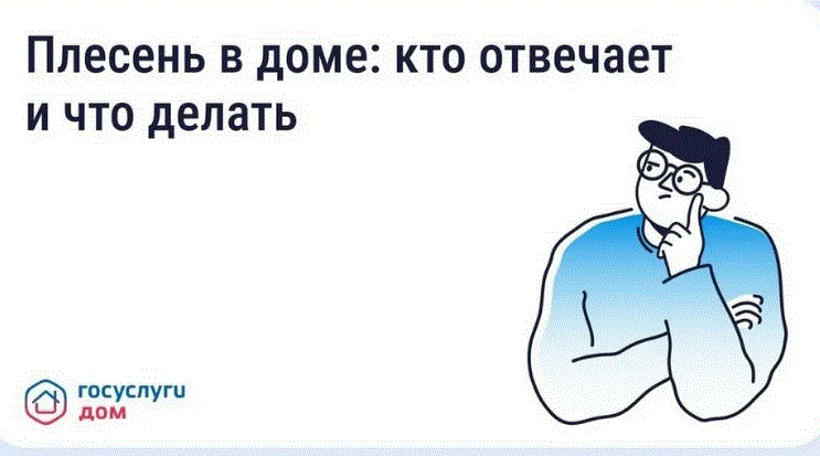 Появилась плесень в квартире? Рассказываем, что делать!