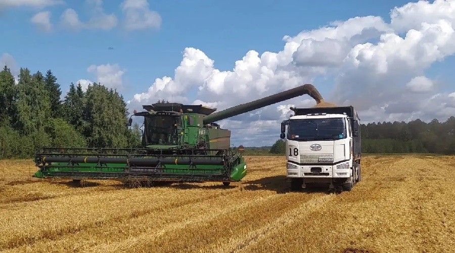 В Брянской области завершается уборка зерновых, зернобобовых культур и рапса